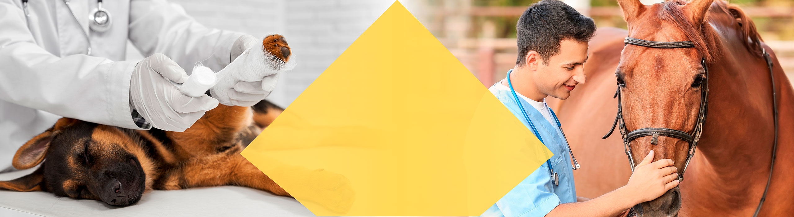 Banner Home Rimos Prodotti Per Animali Base Vegetale Italia