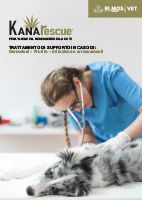 download catalogo
