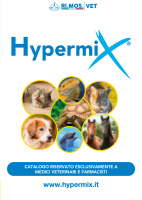 download catalogo