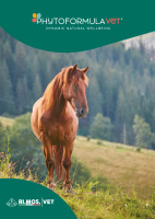 download catalogo