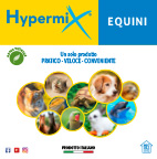 download catalogo