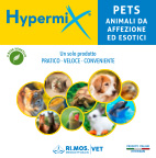 download catalogo