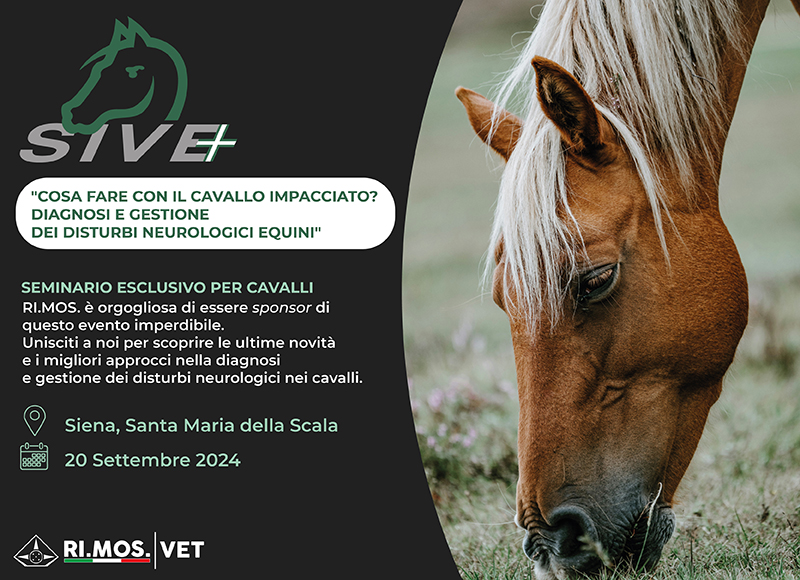 sive seminario siena cavalli rimos veterianaria