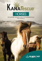 download catalogo