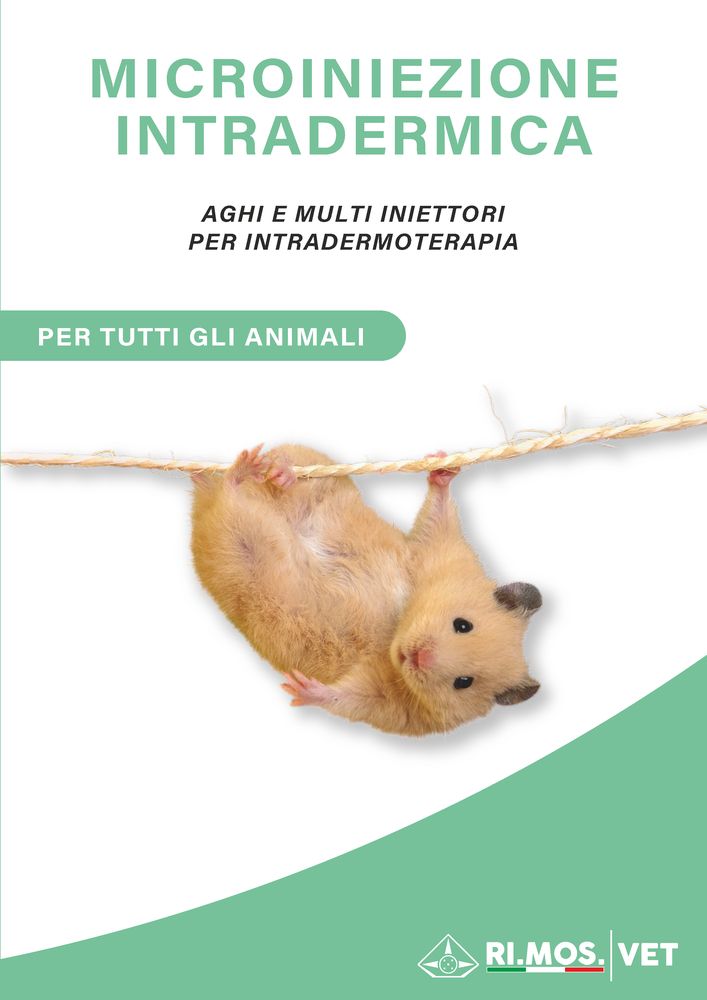 download catalogo