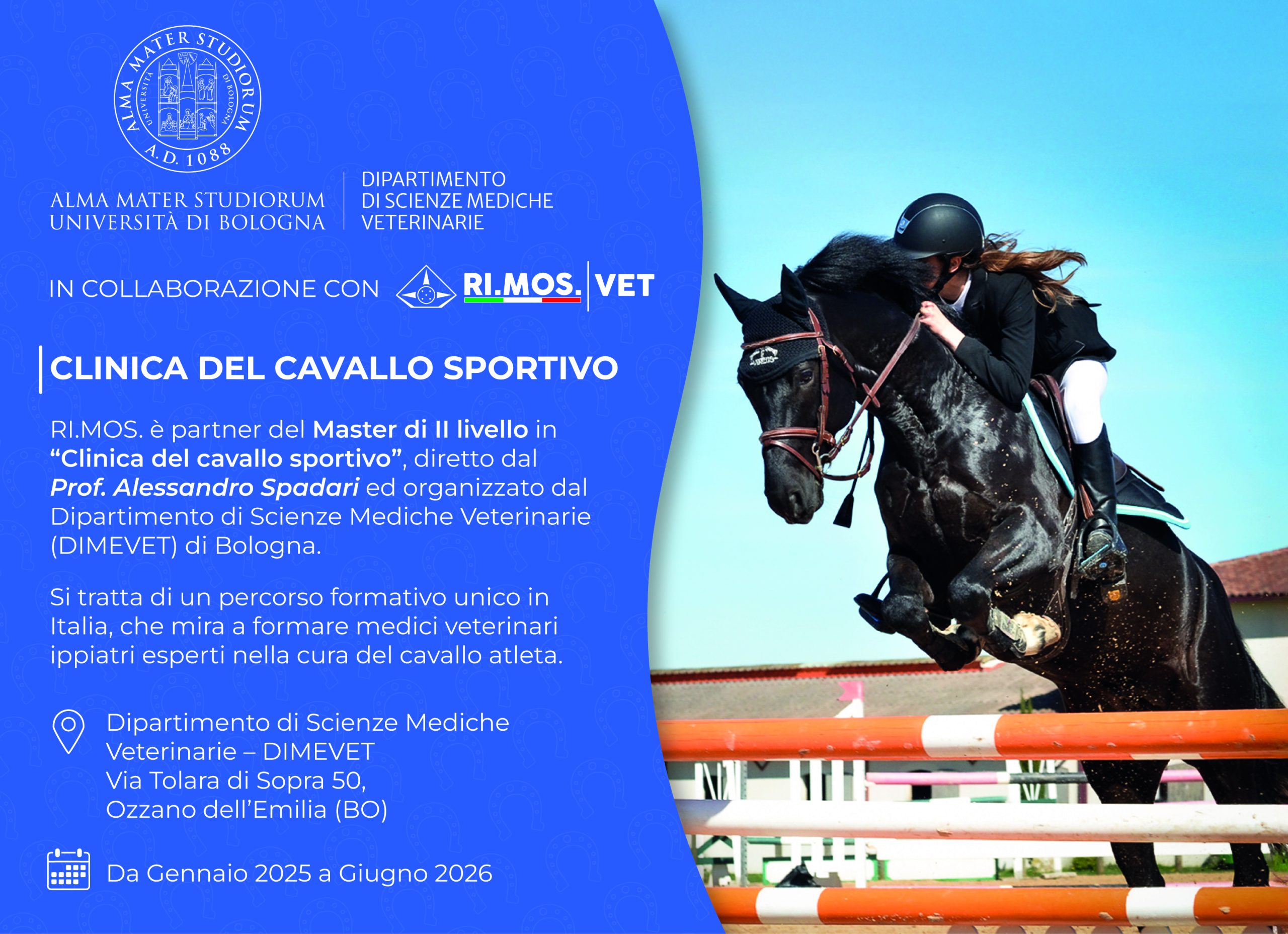 banner uni bologna