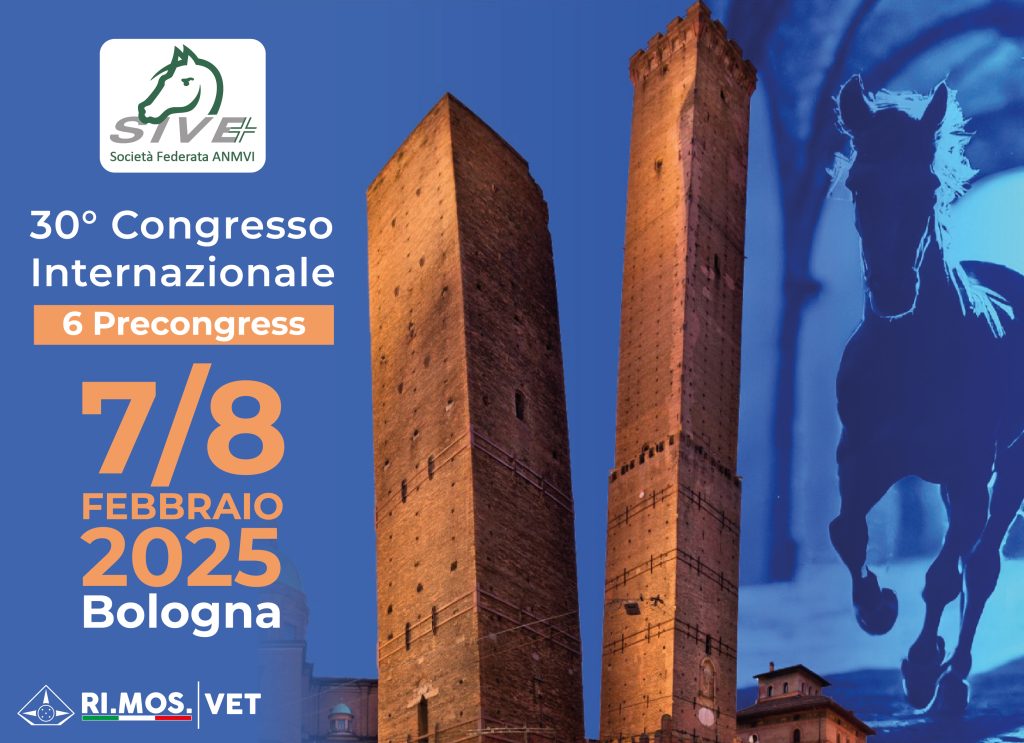 banner sive 2025 sito web